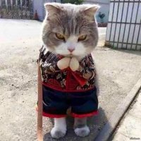 Носки разные одел.