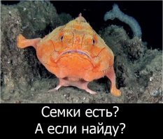 Чернушный юмор матери-природы