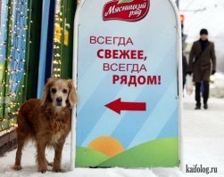 У Елецкие...