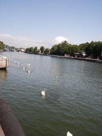 а  где знаменитые балтийские лебеди...??? непорядок- нужно добавить наглецов.