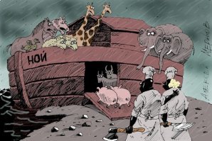 Животный юмор