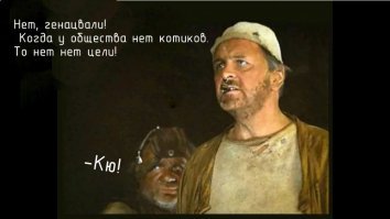 Мир, в котором нет котиков