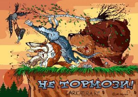 Животный юмор