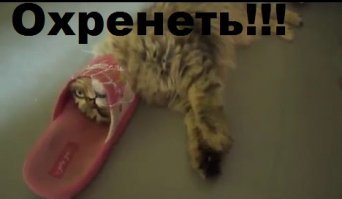 Про звонки не туда
