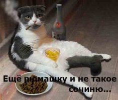 Жена не с пулей в голове, а с целым снарядом