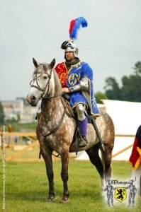 Вот вам российские реконы. И с доспехами у них все в порядке. Как раз на Бургундию...