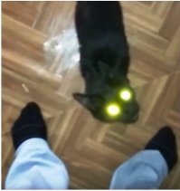 Батарея заряжена на 100%.