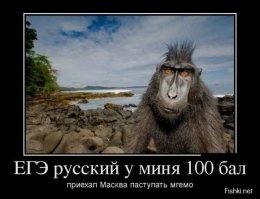 Боишься, что не сдашь ЕГЭ? Рожай!