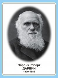 Моя премия уже ждет тебя, дружок!
Ч.Дарвин