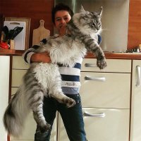 Слышь, ты меня еще поддержи так засранец! Я тебе патлы-то повыдергиваю и скажи своему другану, который меня вспышкой светит, что если не уберет я ему засуну в одно место...Наверно, такой кот был)