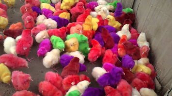 После Пасхи. :)