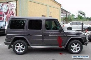 Свежая подборка демотиваторов, которые поднимут вам настроение