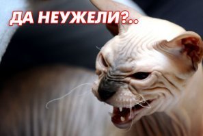 Картинки с надписями для настроения