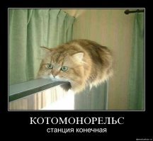 Не очень-то и хотелось вашей рыбы!