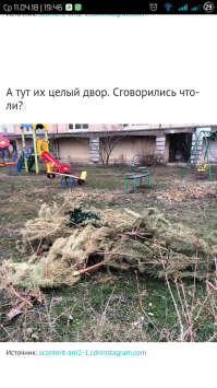 Автор, это так, для общего развития... То, что здесь изображено называется "опиливание веток разросшейся сосны", а не вынос новогодних ёлок.