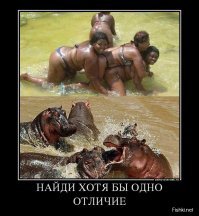 Сможете ли вы найти все отличия на этих картинках менее чем за 4 минуты?
