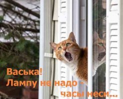 Каждый должен своим делом заниматься. Тогда и порядок в стране будет