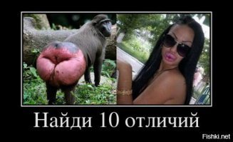 Сможете ли вы найти все отличия на этих картинках менее чем за 4 минуты?