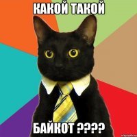 Чем поддержим? "бАйкотом"? Серьезно? Когда уже у вас каникулы закончатся?