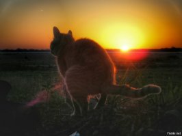 Участники фотоконкурса Travel Photographer of the Year 2018