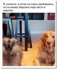 Веселые картинки