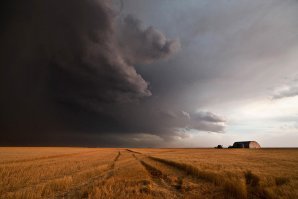 Фотоподборка за 12.04.2018