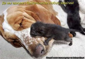 Фотоподборка за 12.04.2018