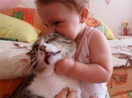 Недалекое будущее котика...