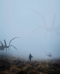 Астраханская область - раннее утро ?