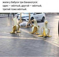 Птичий юмор