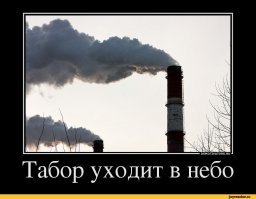 Поймали карманницу