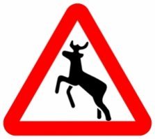 В из-за таких и придумали знак