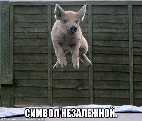 Тризуб уже не актуален , вот это да :
