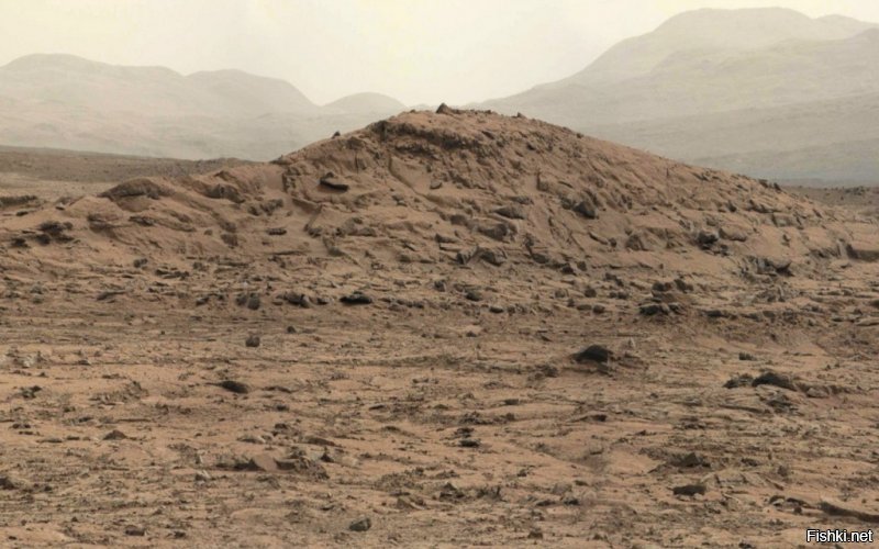 В 2003 году к Марсу отправились   Spirit и Opportunity.  Сейчас  работает третий - Curiosity - Не слышал?
Фото с Марса...