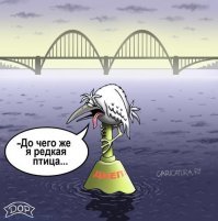 Птичий юмор