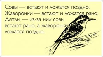 "В британском исследовании участвовало почти 500 000 человек в возрасте от 38 до 73 лет." (c)
Ничегожсебе! 
Ахтун! Совы