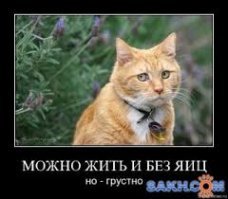 Картинки с надписями для настроения