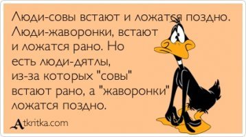 Сенсационное открытие: люди-совы живут меньше людей-жаворонков