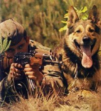 Собакен явно в восторге от движухи)))