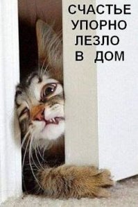 Профессор...значит на Шариковых нет аллергии..а на нас котиков????...не порядок.