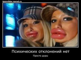 Фанатка Барби потратила $60 000, чтобы стать похожей на любимую куклу