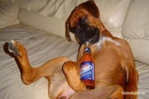 GPS-трекеры с AliExpress, которые неожиданно стали законными