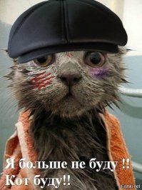 Заряд позитива!