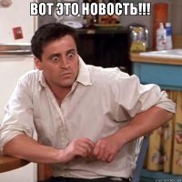 В Шереметьево иностранка уехала в багаж, пытаясь разыскать своих собак