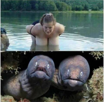 Заряд позитива!