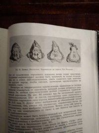 Возможно, из книги "Юным любителям кисти и резца":)