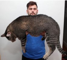 Фотошоп