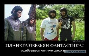 Бойфренд или просто знакомый: кто выбросил девушку из окна МГИМО?