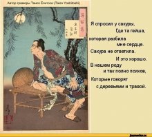 Сакура и котики