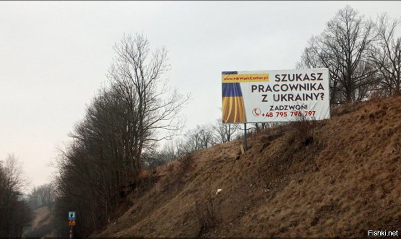 Если кто не рассмотрел...
написано- Дешевые и трудолюбивые